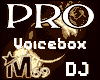Pro Epic DJ voicebox