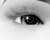 grey dolly eyes