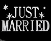 "JUST MARRIED" Sign