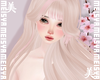 美 Richan