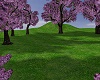 lilac field