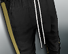 Street Jogger