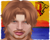 🦁 GINGER 80