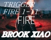 FIRE Brook Xiao