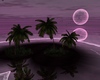 C* island dark purple