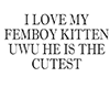 FEMBOY
