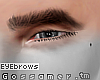G.Niklas Eyebrows.Blk