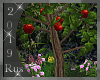 Rus: Apple tree kiss