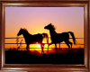 PD~Horses at Sunset 