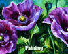 Purple Passion Painting