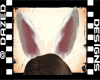 !Bunny Ears