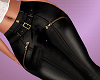 Black Pant RL