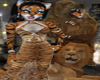 [TS] Lion Tigers Bear OH
