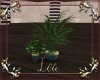 Luxery Plants