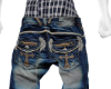 longangel