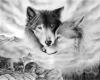 Wolf Lovers