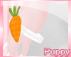 [Pup] Carrot