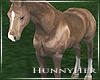 H. Horse V4