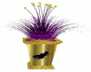 [DST]Maceta Bruja Purple