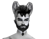 Grey Cat Ears