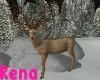 Deer Decoration