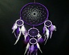 TBX Dreamcatcher