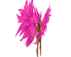 Hot Pink Feather Wing