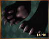 ☾ Zelda's Paws
