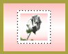 white rose stamp