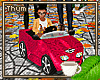Anim. Pnk Mini Car (40%)