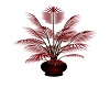 AAP-Red Potted Plant