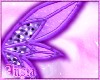 Ansix | Wings