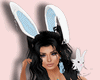 Bunny Blue Bundle