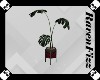 Valentine Floor Plant V1