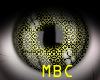 MBC -Yellow Eye Shine 2M
