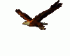 MAU/ FLYING EAGLE