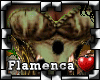 !P Flamenca DeRaza Libre