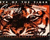 TA Eye of the tiger pt3