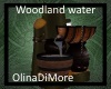 (OD) Woodland water