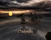 C* Aelyndra