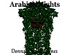 arabian nights plant