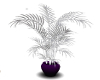 Purple & Silver Plant