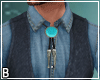 Western Shirt Bolo