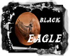 Tx Black Eagle 2