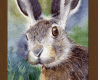 Watercolour Bunny