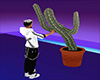S~n~D When Cacti R Bad 