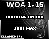 Walking On Air-Just Max
