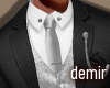 [D] Mine silver suit