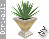 NY| Agave Potted Deriv