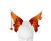 sunbrust orange ears